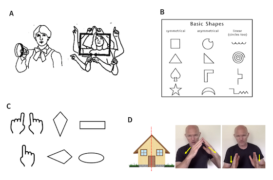 ASL shapes